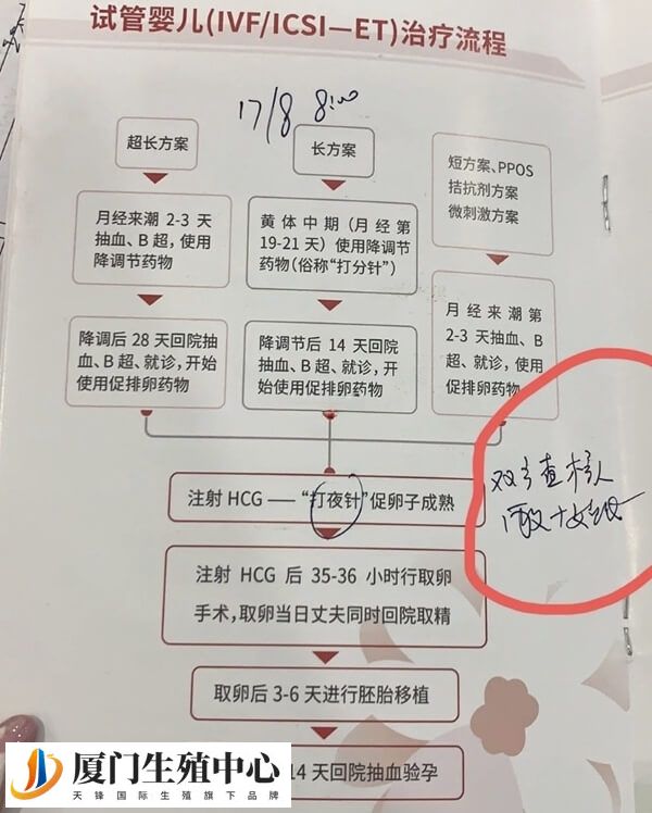 试管婴儿流程表