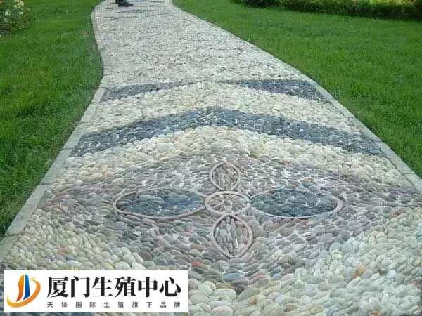 宫寒怎么调理最有效
