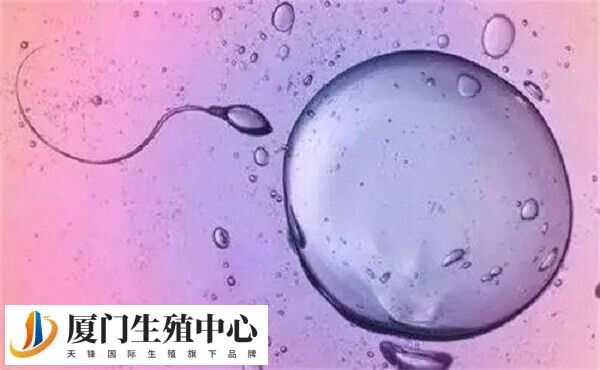 试管婴儿黄体期促排适应症有哪些