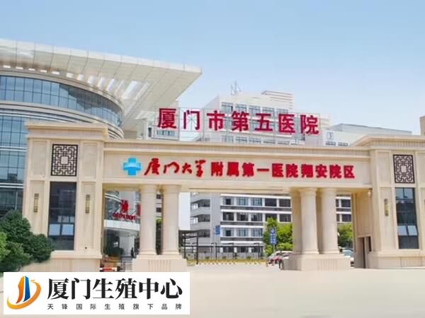 厦门第五医院哪个医生看多囊卵巢综合症看的