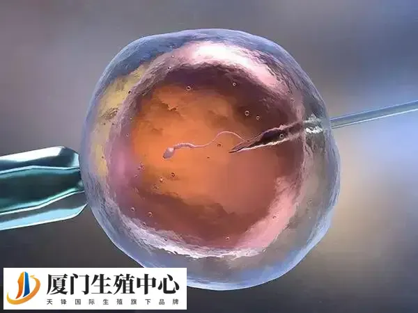 试管婴儿降调加替代方案优势是什么